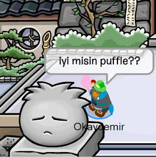 club penguin eğlenceli resimler