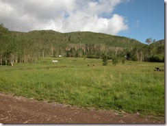 DSCN5489