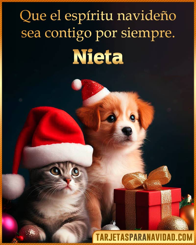 Imagenes de navidad para Nieta