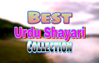 Best Urdu Shayari Collection
