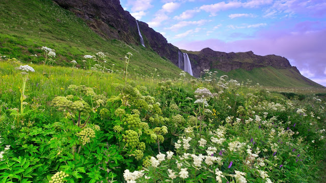 Iceland Morning Scenery