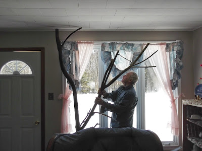 man sets cat tree 