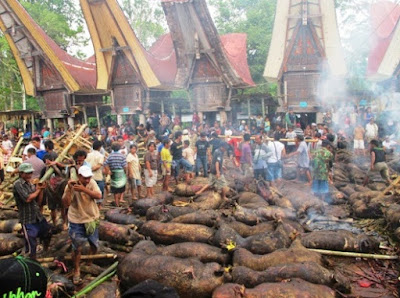 Azas Pemujaan dan Penyembahan dalam Sukaran Aluk