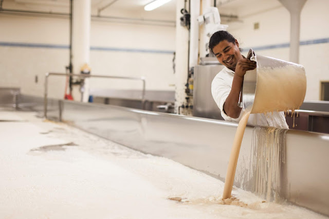 Anchor Brewing's Tale of Open Fermentation