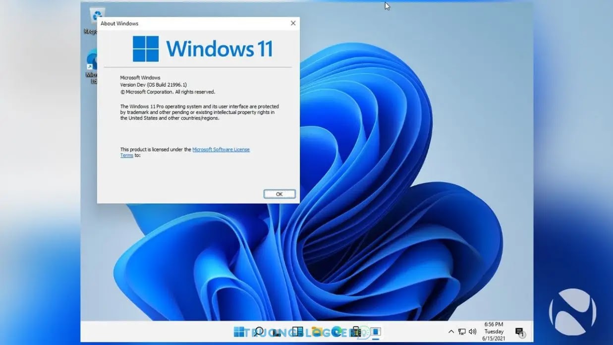 Hướng dẫn cách tải và cài đặt Windows 11 mới nhất