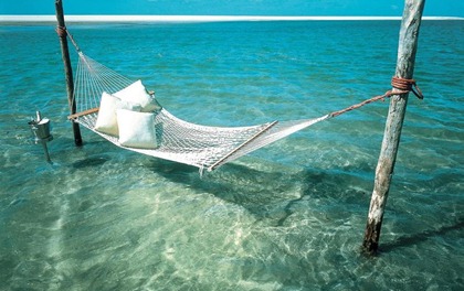 hammock