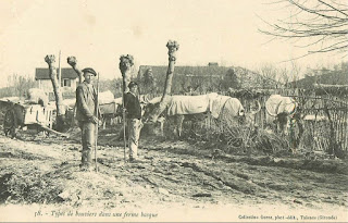 pays basque 1900