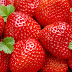 Download strawberry wallpapers