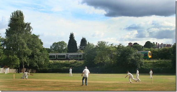Cricket on the Litchfield Line