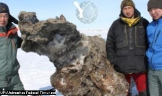 Peneliti Temukan Mammoth dengan Darah dan Daging Segar di Siberia 