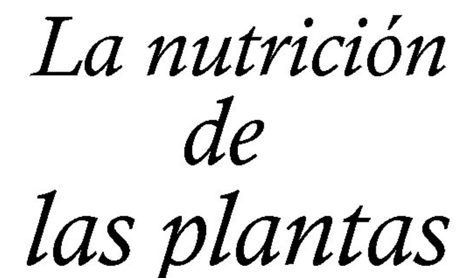 http://cplosangeles.juntaextremadura.net/web/edilim/curso_2/cmedio/plantas02/nutricion_plantas02/nutricion_plantas02.html