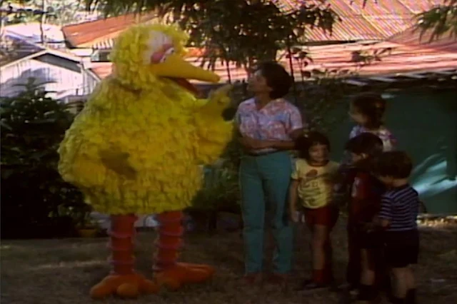 Sesame Street Episode 1317