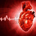 Matemático crea método para examinar las arterias del corazón sin operación