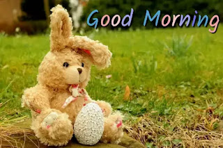 Good morning teddy bear images