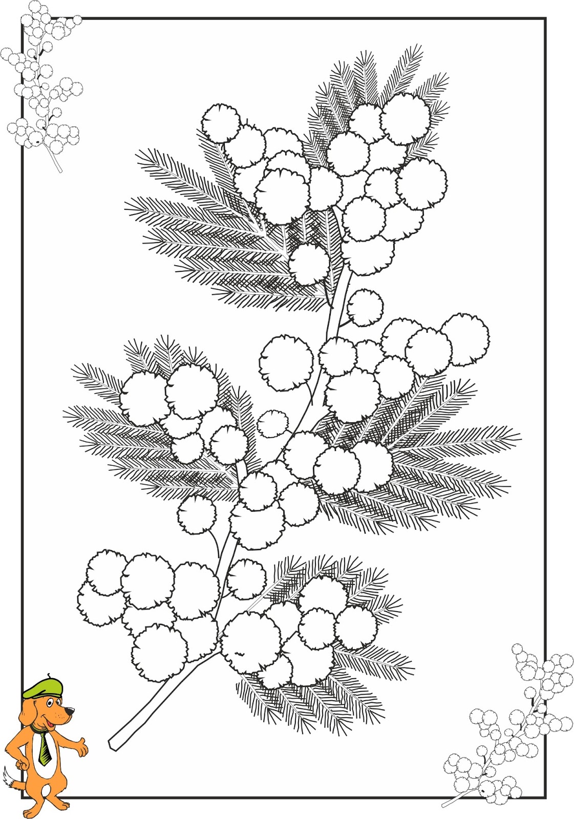 Maestre madri o spose frizzanti e spiritose affabili e gioiose vi offro le mimose Con pantaloni o gonne donne donne donne da