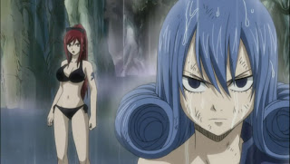 Fairy Tail 110