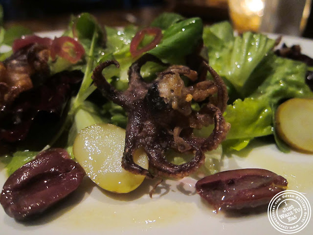 Image of Polipo or baby octopus at Casa Nonna in Hell's Kitchen NYC, New York