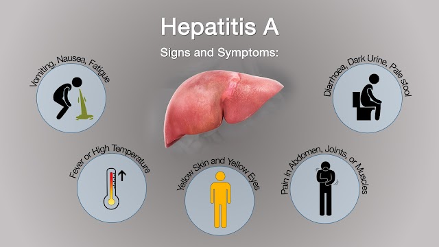 Everything You Needs To Know About Hepatitis A