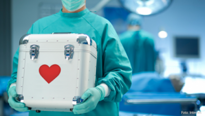 Mitos y verdades sobre la donación de órganos - DePeru