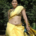 SHERLY AWESOME HOT IN YELLOW SAREE PICS 