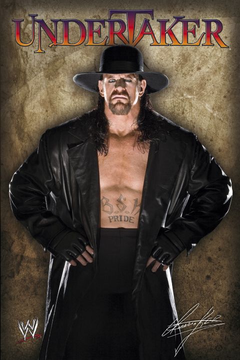 One day at the W.W.E Championship, Undertaker