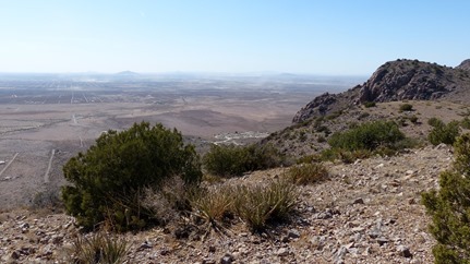 P1010967