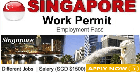 how to get job in sigaore and work permit