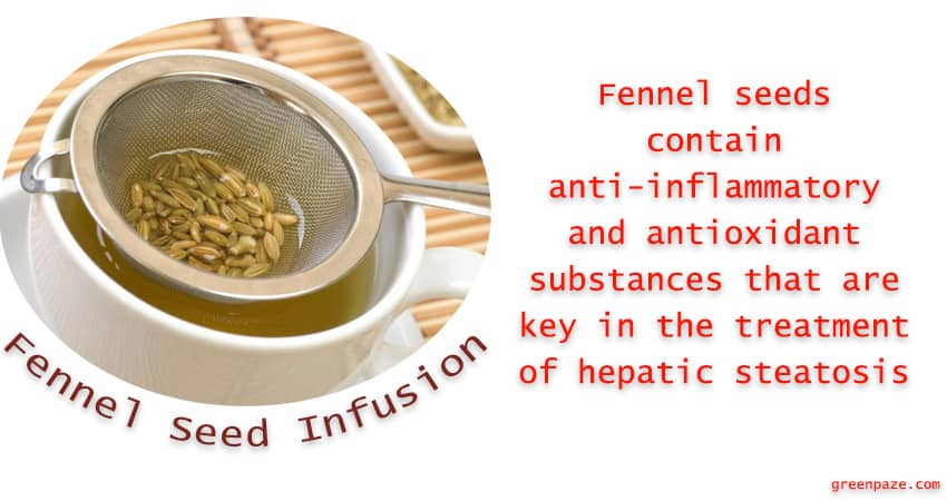 fennel seed infusion
