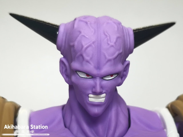 Review de S.H.Figuarts GINYU - Tamashii Nations