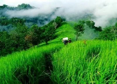 34 TEMPAT WISATA DI KABUPATEN SANGGAU KALIMANTAN BARAT TERLENGKAP INSTAGRAMBLE COCOK DIKUNJUNGI BERSAMA