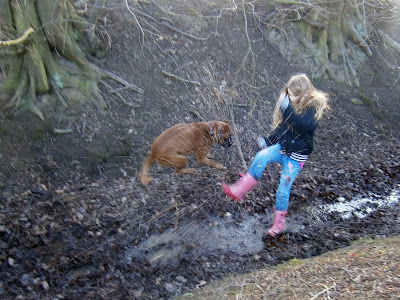 splashing in the muddy stream girl and jumping boxer dog