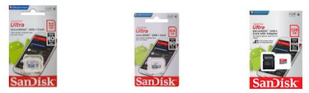 the%20nho%20sandisk.JPG