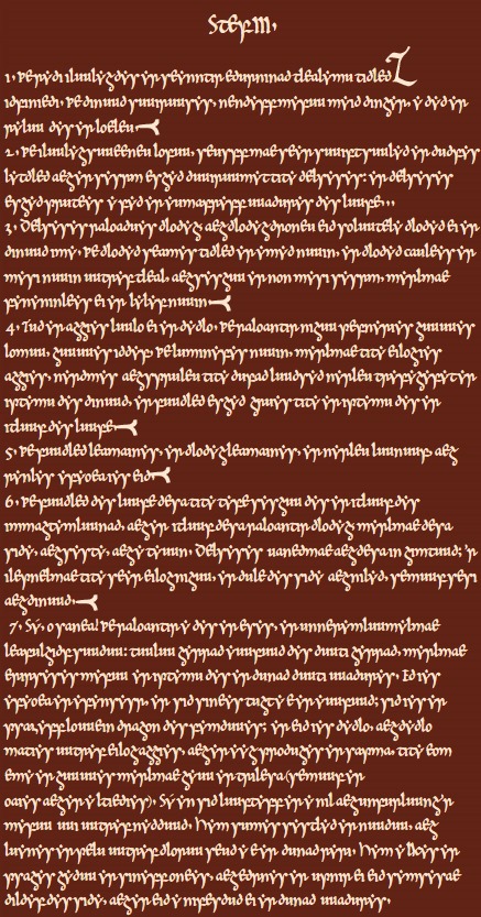 Dyan005