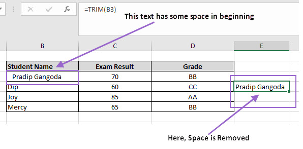 Trim in excel, trim excel