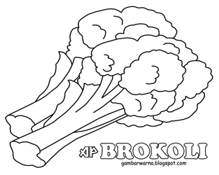  Mewarnai  Brokoli  Belajar Mewarnai  Gambar 