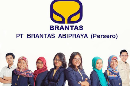 Lowongan Kerja BUMN PT. Brantas Energi Tingkat D3/S1 Batas Pendaftaran 19 Agustus 2019