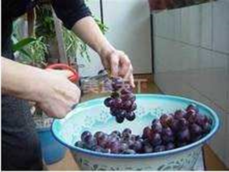 clip_image005