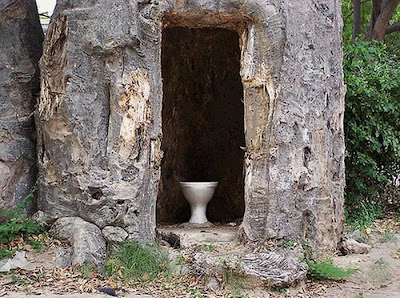 Unusual Tree Toilet Seen On www.coolpicturegallery.net