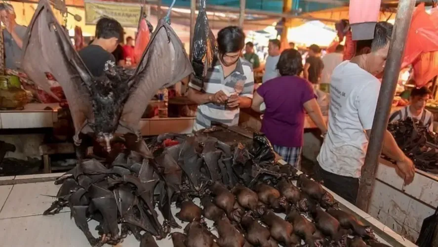 Mercato di Wuhan