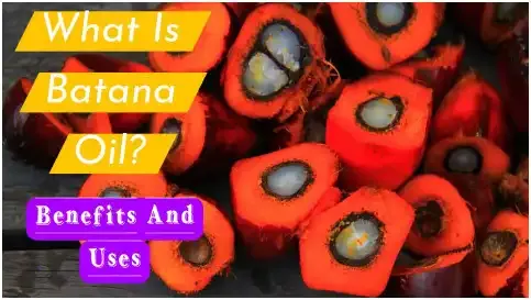 what-is-batana-oil-and-what-are-its-benefits-and-uses