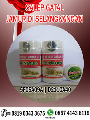 SALEP GATAL JAMUR DI SELANGKANGAN