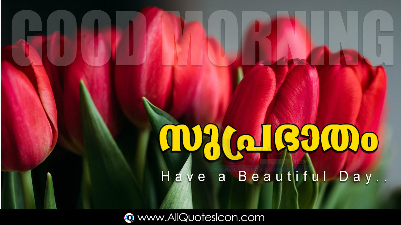 Amazing Happy Monday Good Morning Quotes In Malayalam Images Hd Wallpapers Best Life Inspiration Quotes In Malayalam Whatsapp Pictures Online Good Morning Malayalam Quotes Free Download Www Allquotesicon Com Telugu Quotes