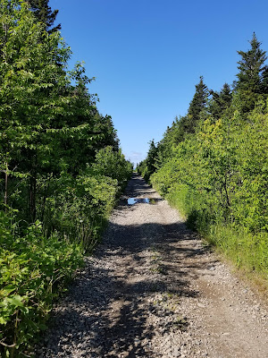 Great Trail Deer Lake Newfoundland.