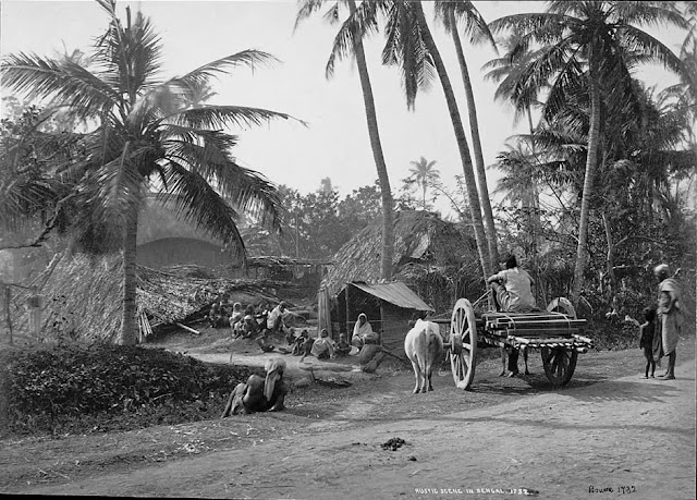 Bengal-Village-Showing-villagers-Outside-Thatch-Houses%252C-Bullock-Cart-Near-Roadside---Samuel-Bourne-1863