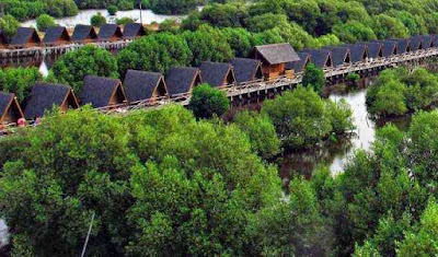 Taman Wisata Alam Mangrove PIK Angke Kapuk Jakarta Utara