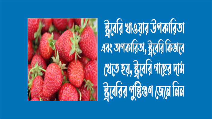 স্ট্রবেরি খাওয়ার ১৭টি উপকারিতা ও অপকারিতা - স্ট্রবেরি খাওয়ার নিয়ম