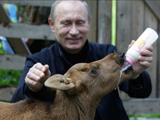 feeding moose calf: there are some great articles on the internet how Putin accomplished this Mythic Image via propaganda campaigns to market him as characteristics he is truly not:  compassiononate  friend of children, innocent, and wildlife  a man's man: James Bond sort