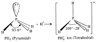 Solutions Class 12 Chemistry Chapter-7 (The p Block Elements)