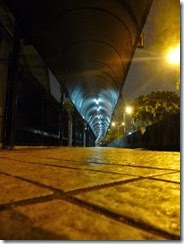 P1010137