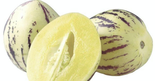 Enjoy the Sweet and Refreshing Taste of Pepino Melon